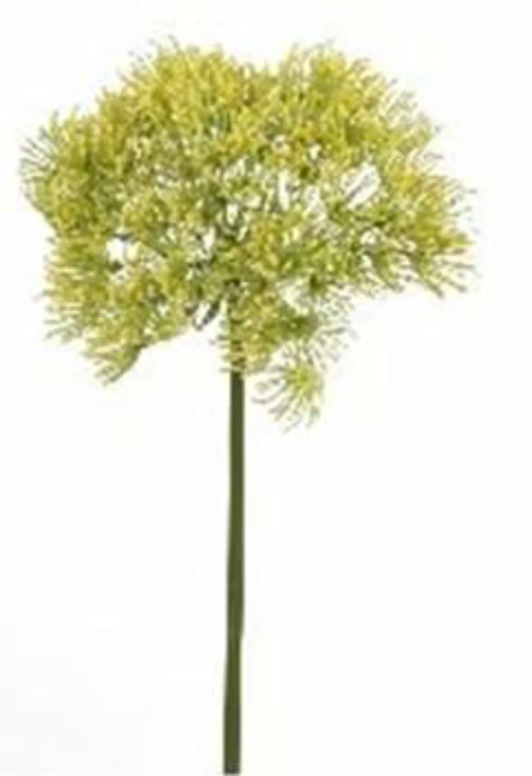 Flower & Style Kunstpflanzen & -blumen Trachelium gelb 68,5 cm (185483) (gr günstig online kaufen