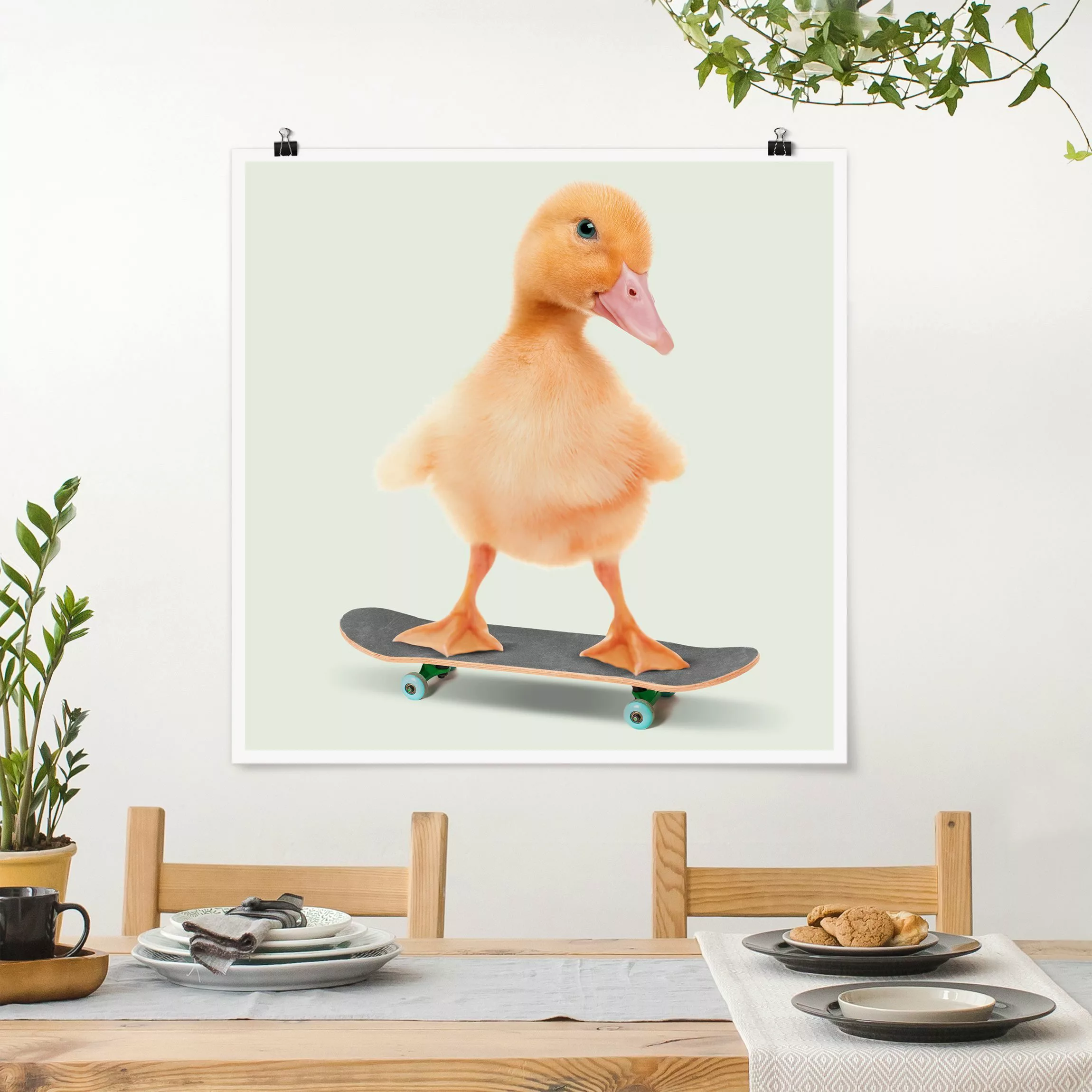 Poster Skate Ente günstig online kaufen