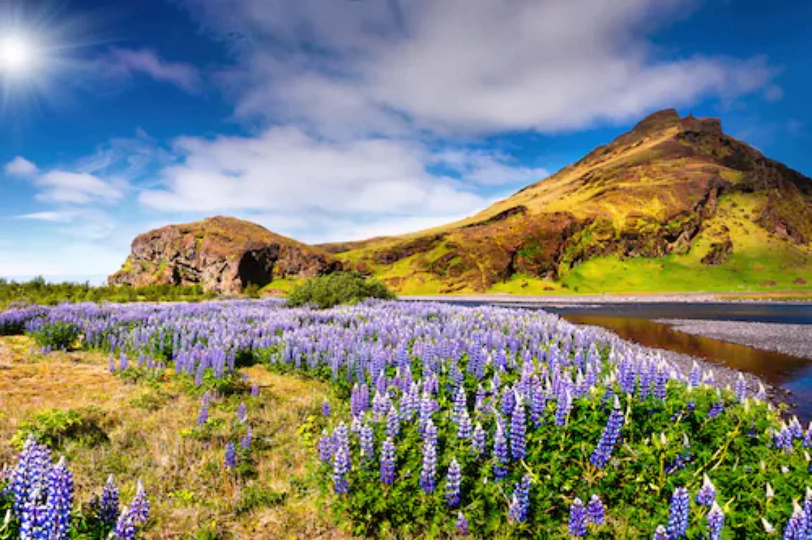 Papermoon Fototapete »BLUMEN LANDSCHAFT-SEE GEBIRGE BERGE LAVENDEL BLUME DE günstig online kaufen