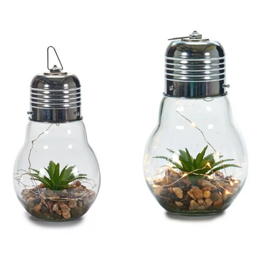 Glühbirne Deco Kaktus Led günstig online kaufen