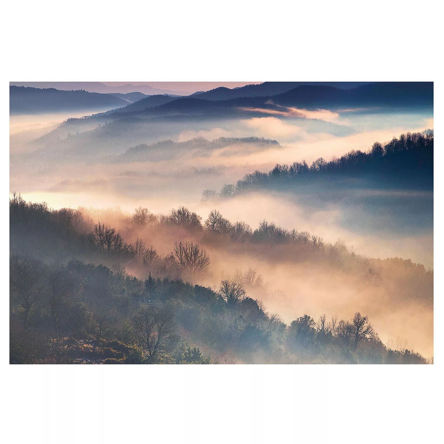 Bilderwelten Vliestapete Nebel bei Sonnenuntergang violett Gr. 384 x 255 günstig online kaufen