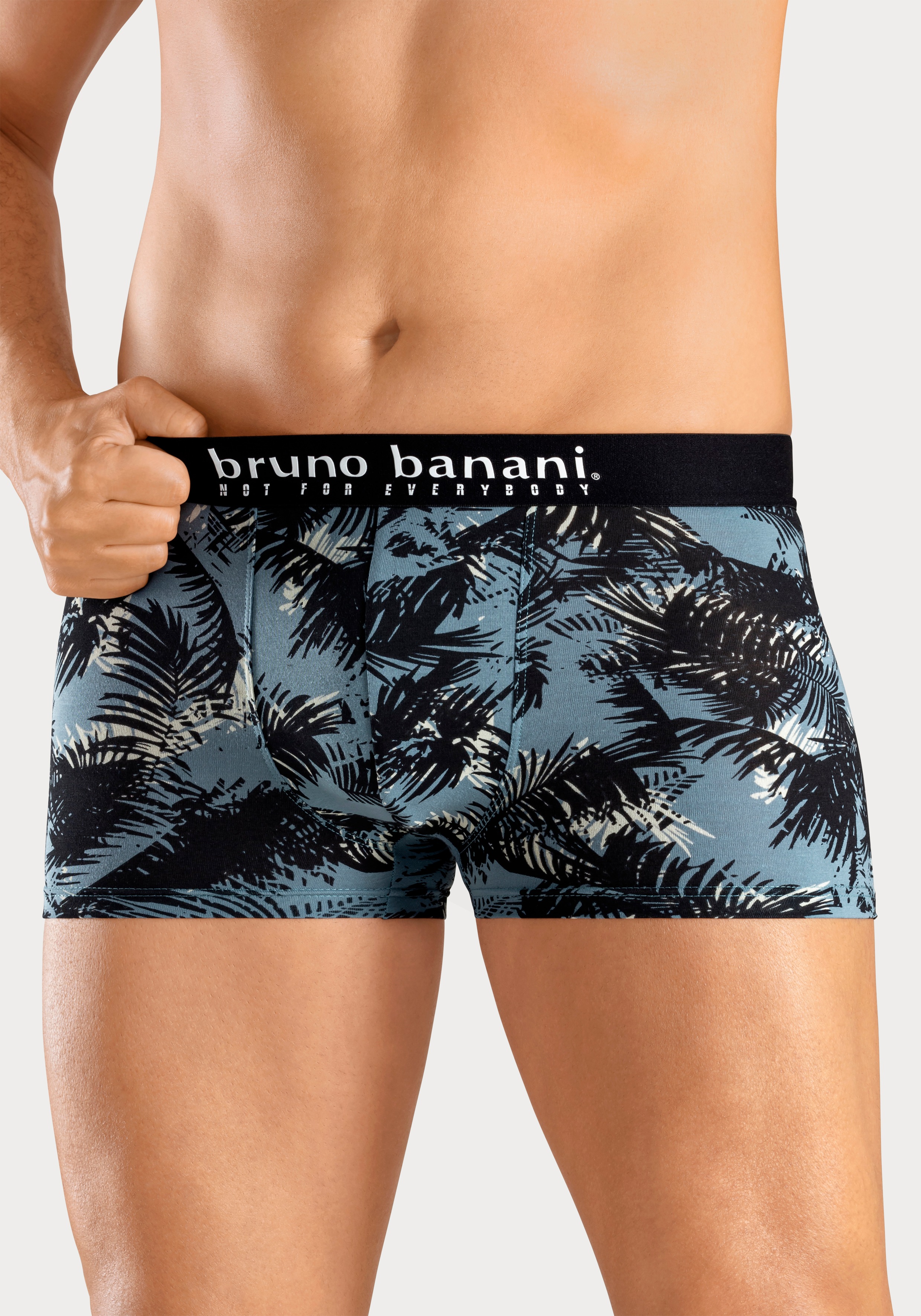 Bruno Banani Boxer, (Packung, 4 St., 4er-Pack), mit Palmendruck und unifarb günstig online kaufen