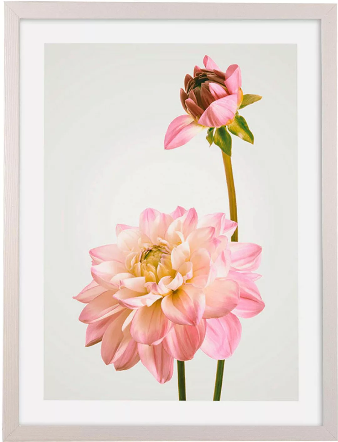 Komar Bild mit Rahmen »Floral Delights«, maschinell günstig online kaufen