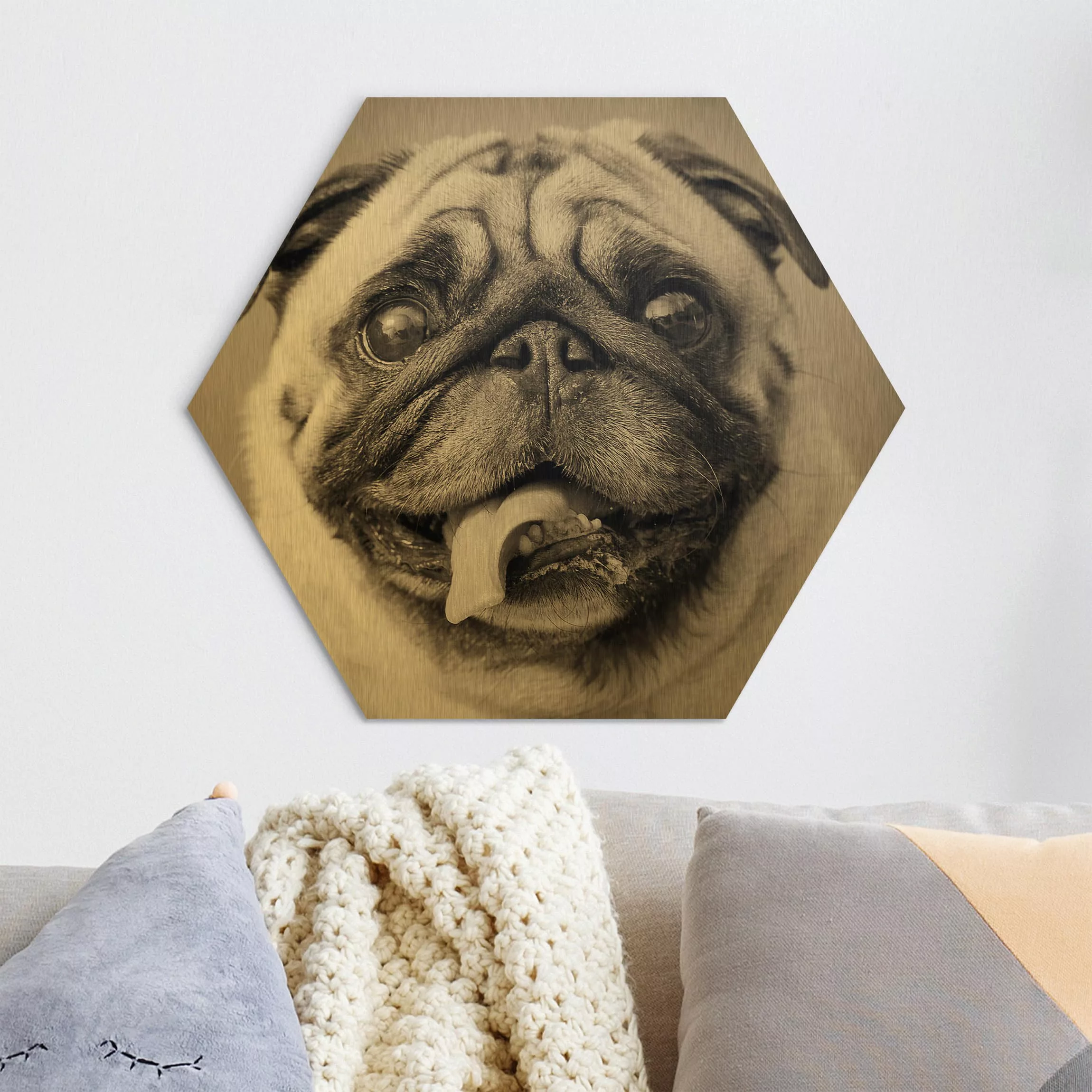 Hexagon-Alu-Dibond Bild Tiere Lustiger Mops günstig online kaufen