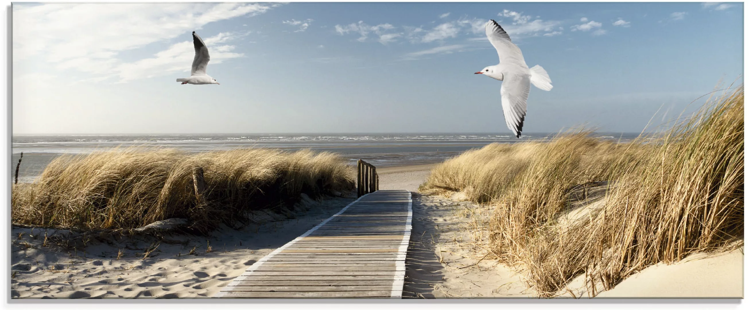 Artland Glasbild "Nordseestrand auf Langeoog mit Möwen", Strand, (1 St.), i günstig online kaufen