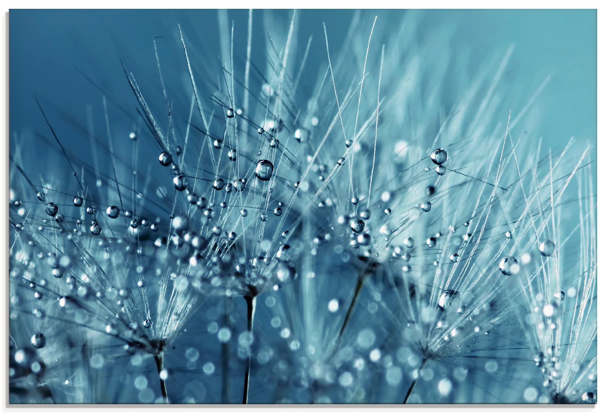 Artland Glasbild "Blaue glitzernde Pusteblume", Blumen, (1 St.), in verschi günstig online kaufen
