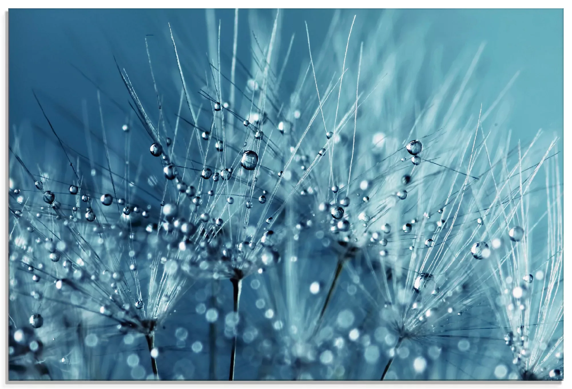 Artland Glasbild "Blaue glitzernde Pusteblume", Blumen, (1 St.), in verschi günstig online kaufen