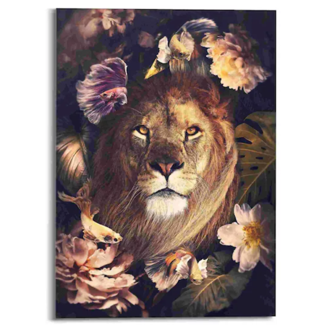 Reinders! Acrylglasbild »Dschungel-Löwe« günstig online kaufen