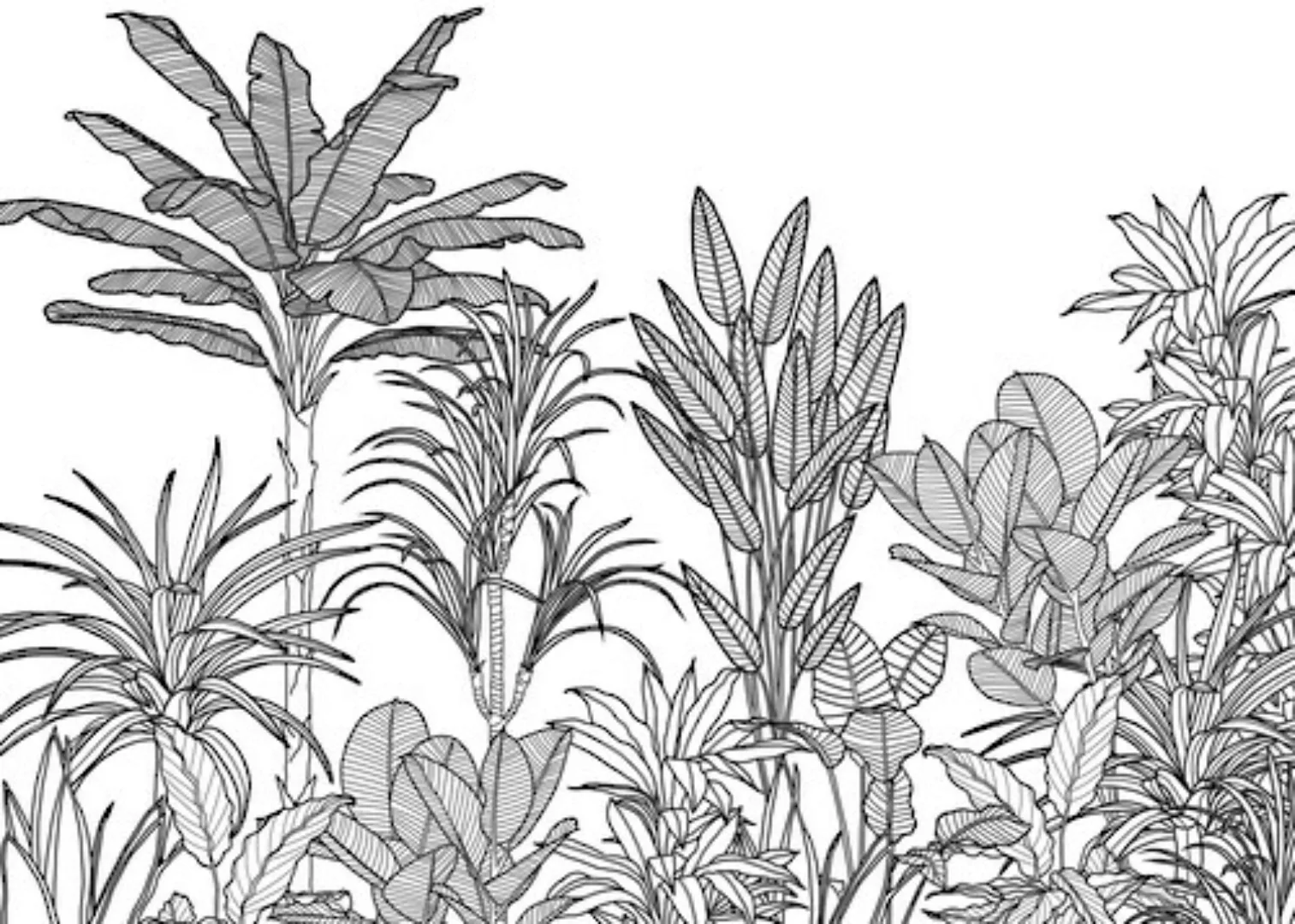 Komar Vliestapete »Digitaldruck Vlies - Manoa - Größe 350 x 250 cm«, bedruc günstig online kaufen