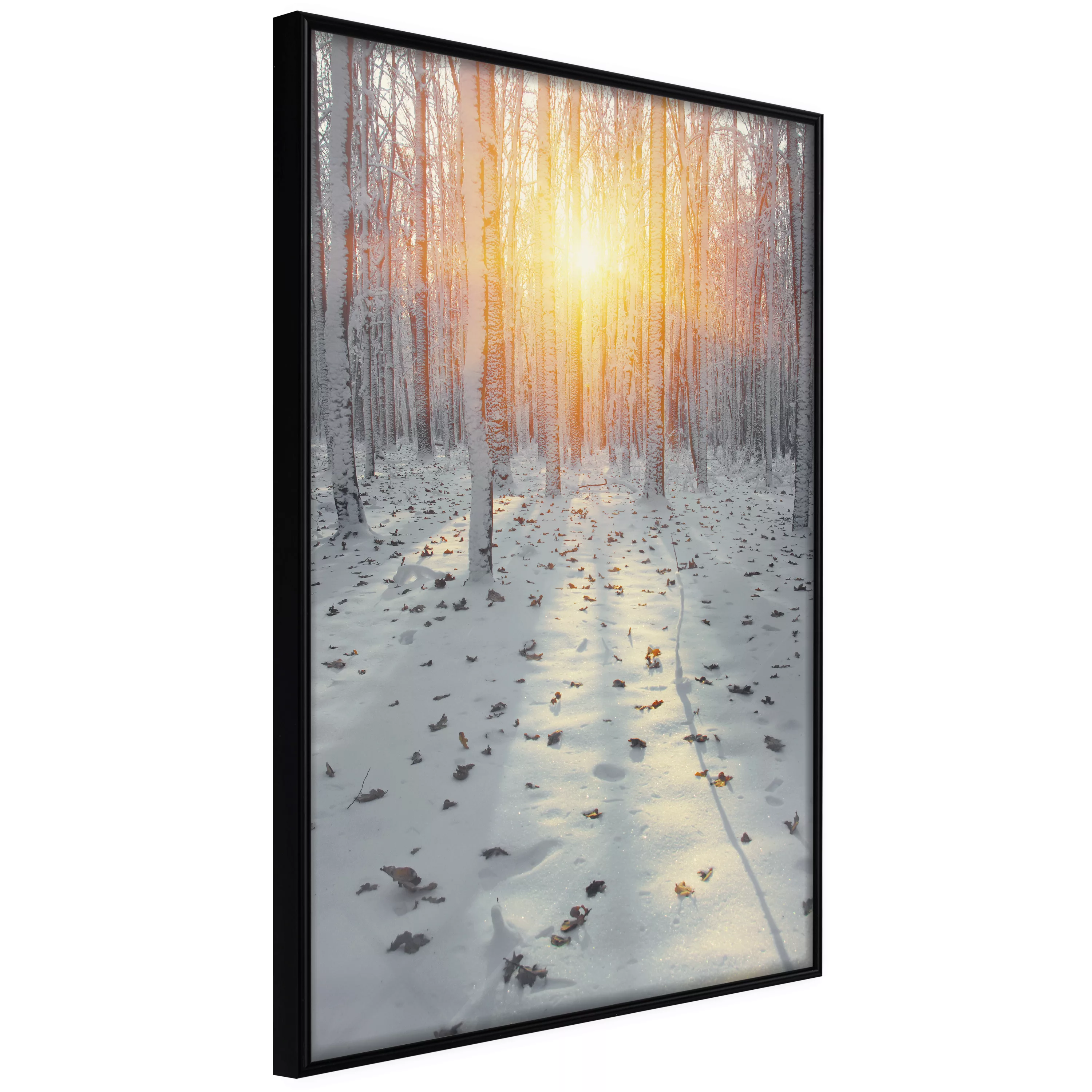 Poster - Frosty Sunset günstig online kaufen