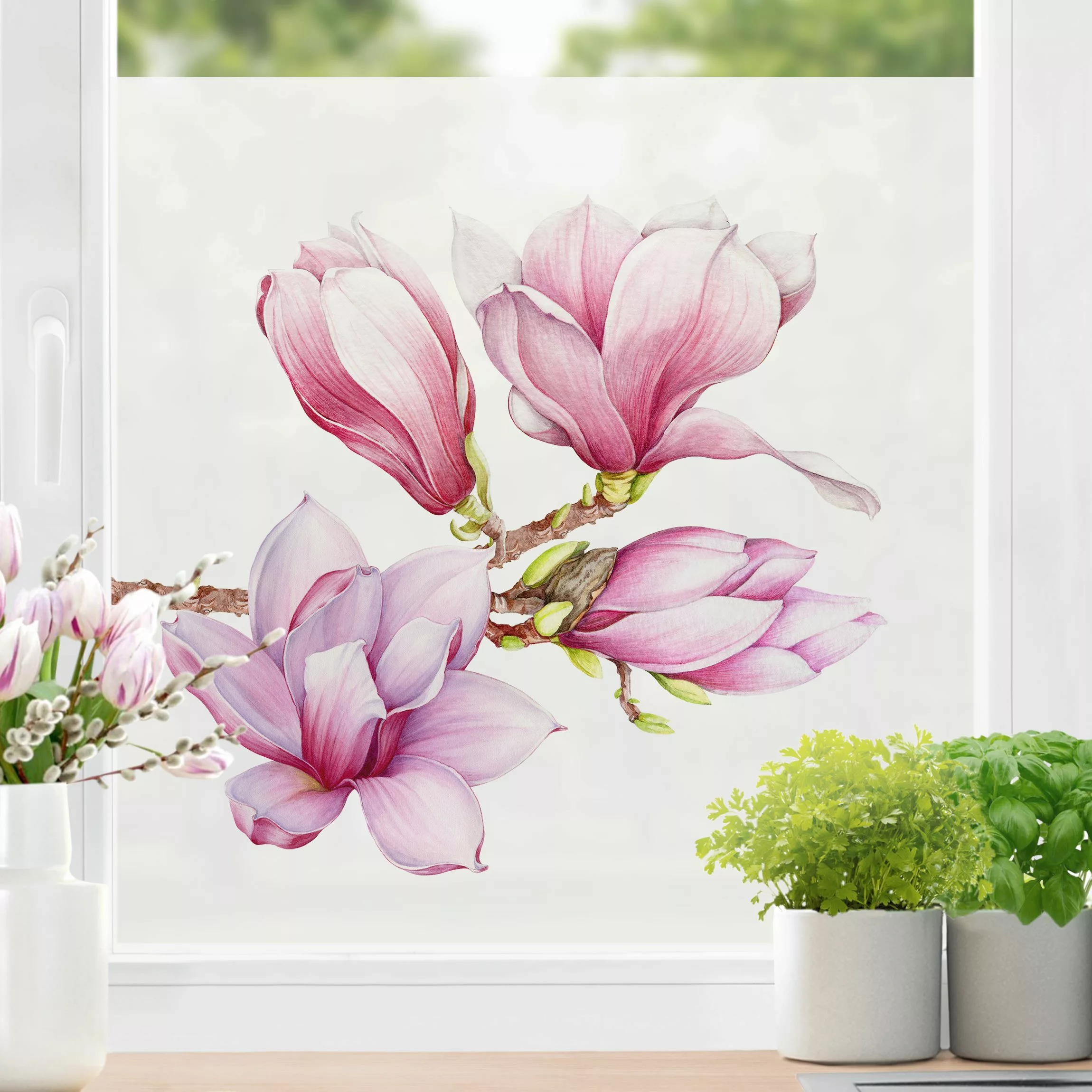 Fensterfolie Aquarell Magnolienzweig günstig online kaufen