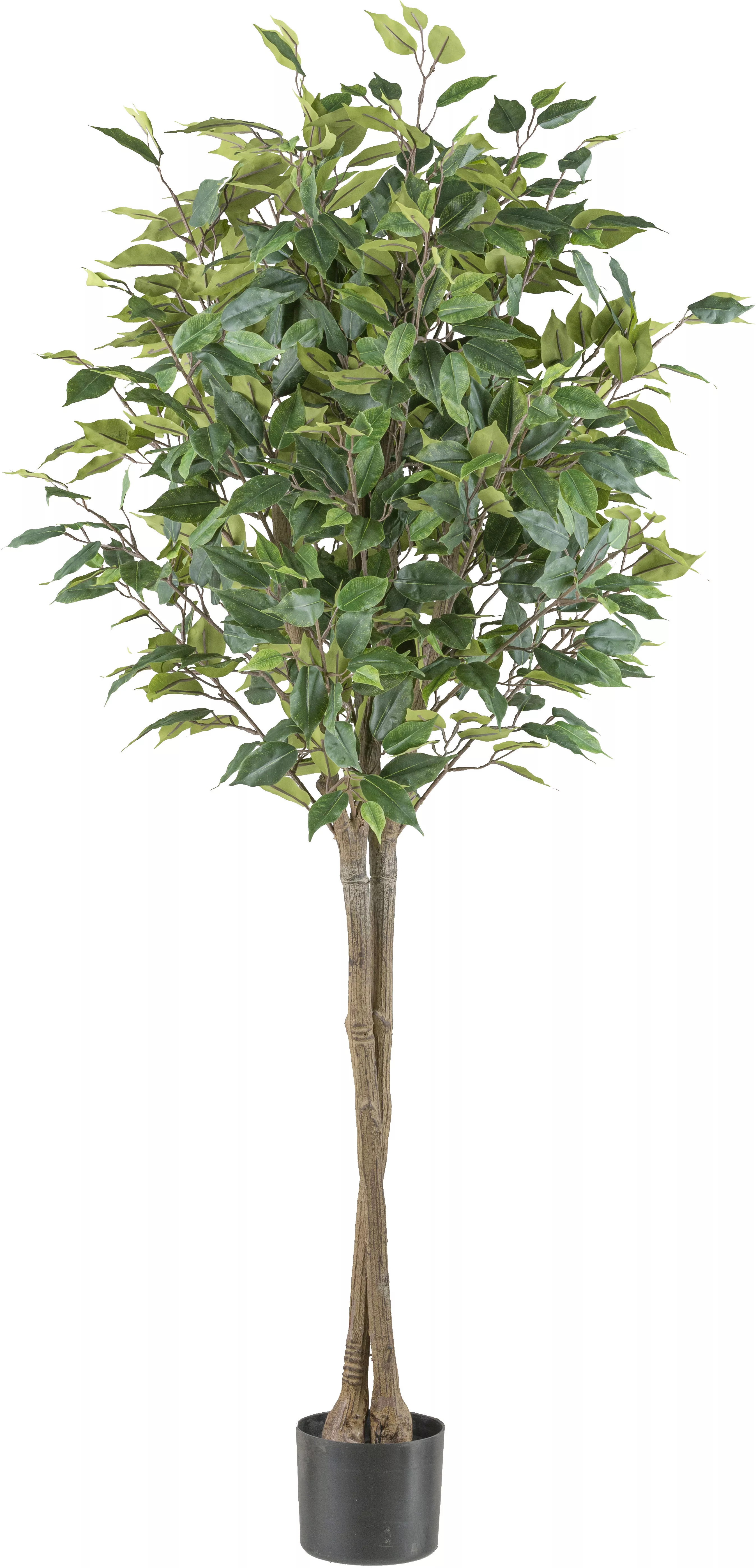 Creativ green Kunstpflanze "Ficus benjamina", in Hochstamm-Form günstig online kaufen