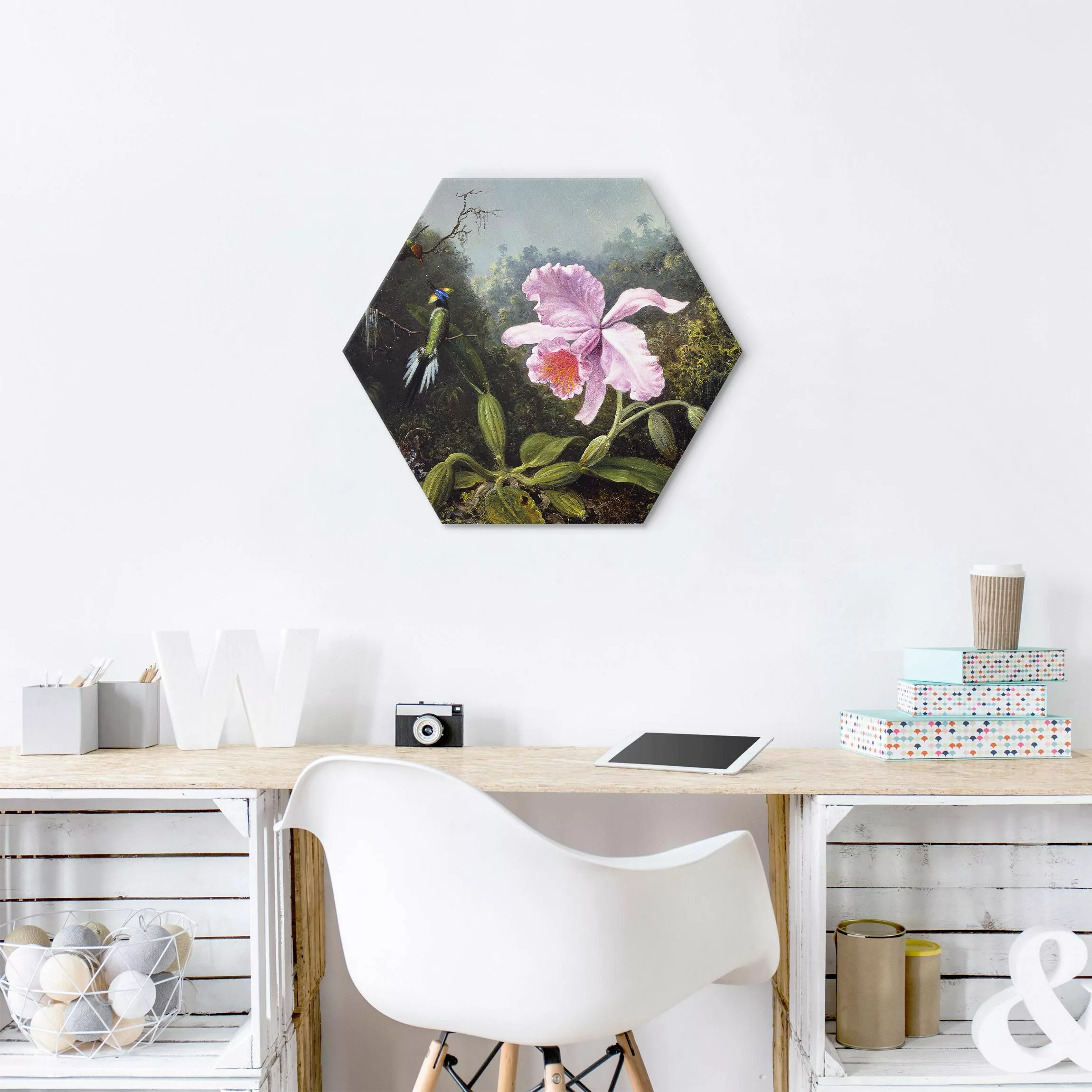Hexagon-Alu-Dibond Bild Martin Johnson Heade - Stillleben mit Orchidee und günstig online kaufen