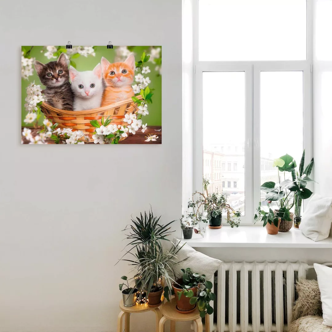 Artland Wandbild "Katzen sitzen in einem Korb", Haustiere, (1 St.), als Lei günstig online kaufen