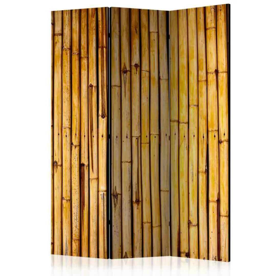 Leinwand Paravent im Bambus Dekor modern günstig online kaufen