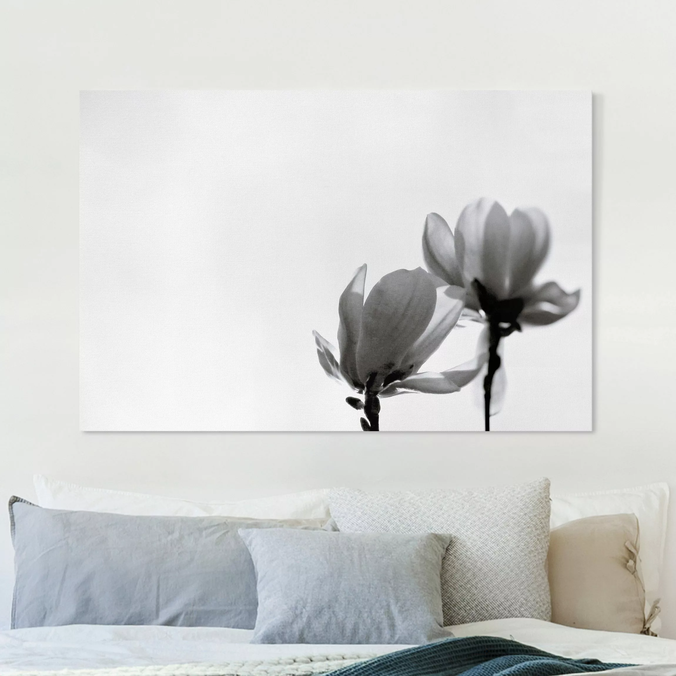 Leinwandbild Frühlingsbote Magnolie Schwarz Weiß günstig online kaufen