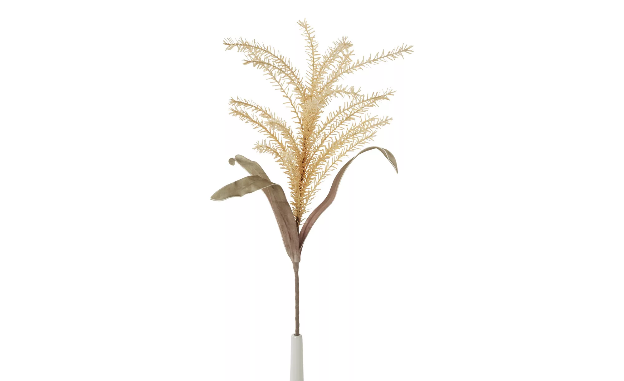 Soft Flower Pampas - creme - Metall, Kunststoff - 110 cm - Dekoration > Kun günstig online kaufen
