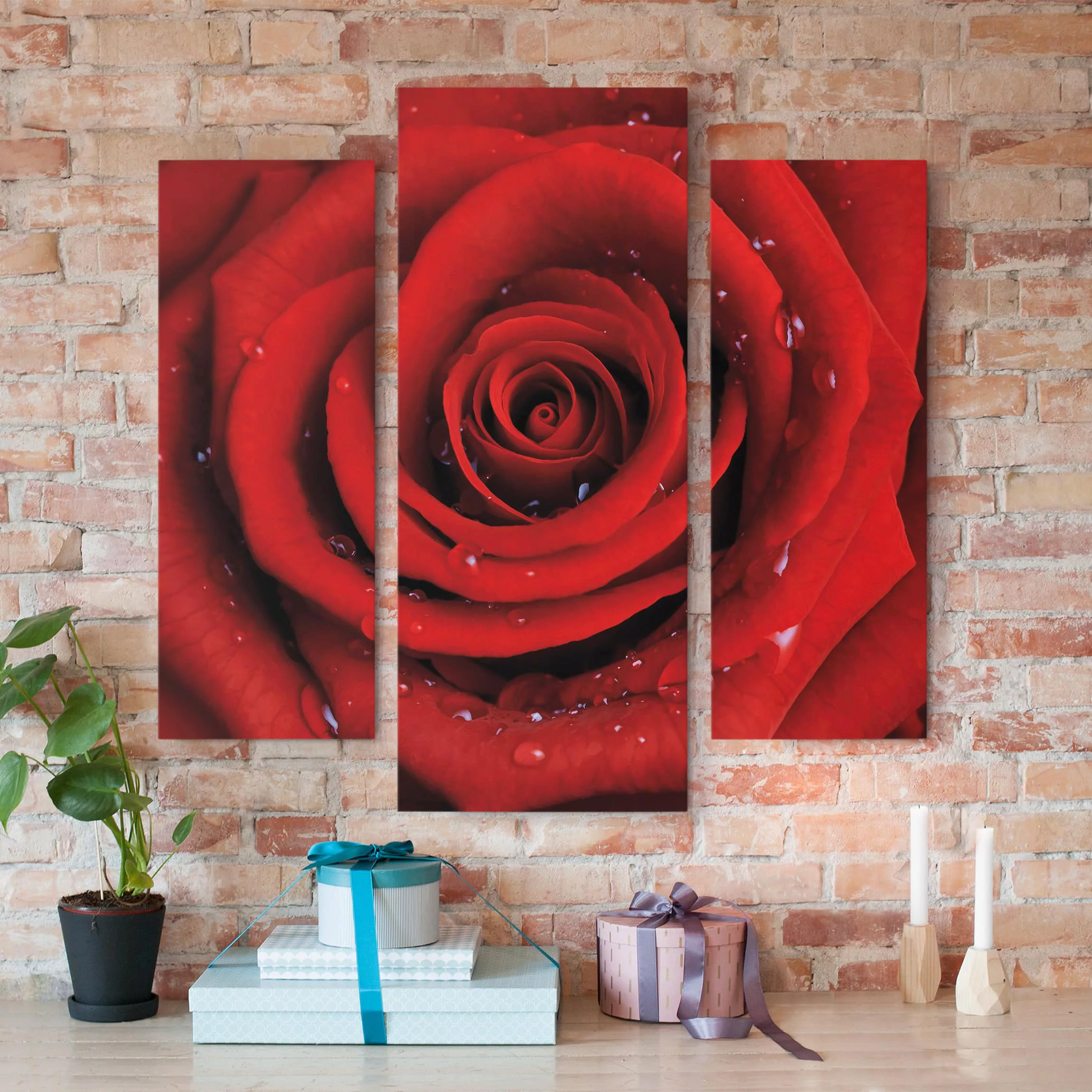 3-teiliges Leinwandbild Blumen - Querformat Rote Rose mit Wassertropfen günstig online kaufen