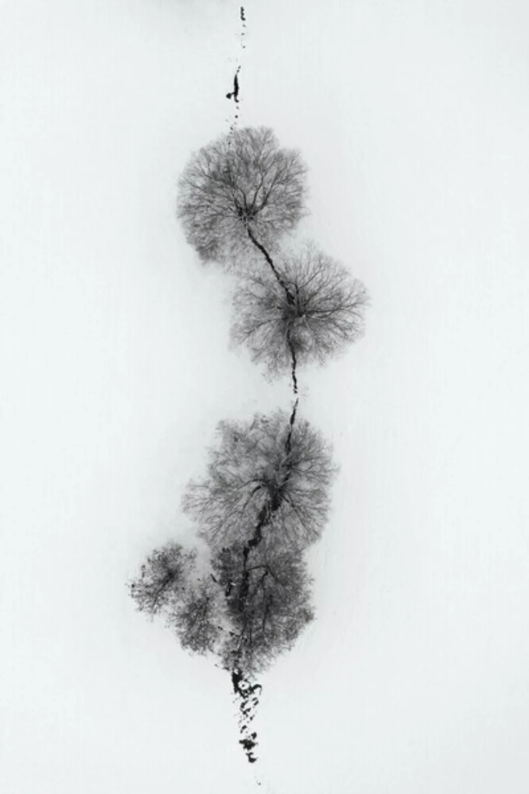 Poster / Leinwandbild - Trees At a Snowy Ice Stream günstig online kaufen