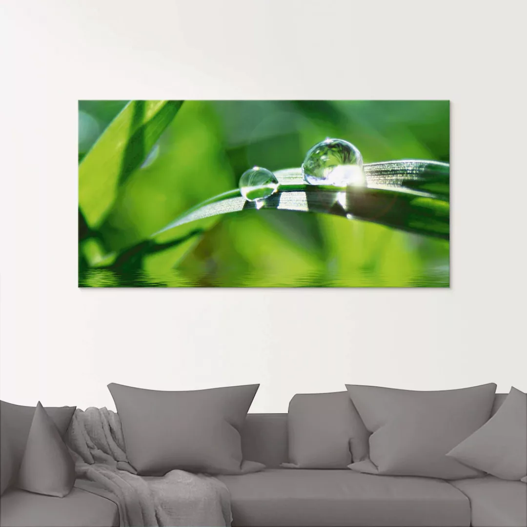 Artland Glasbild "Grüner Hintergrund mit Gras", Gräser, (1 St.), in verschi günstig online kaufen