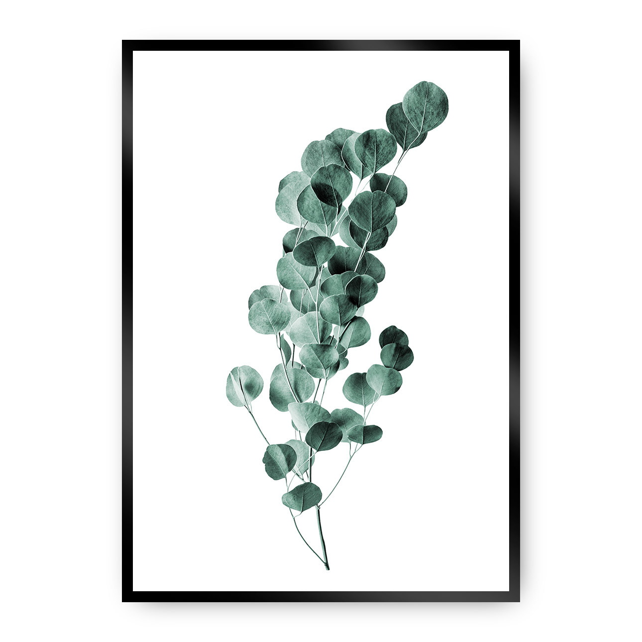 Poster Eucalyptus Emerald Green, 21 x 30 cm, Rahmen wählen: schwarz günstig online kaufen