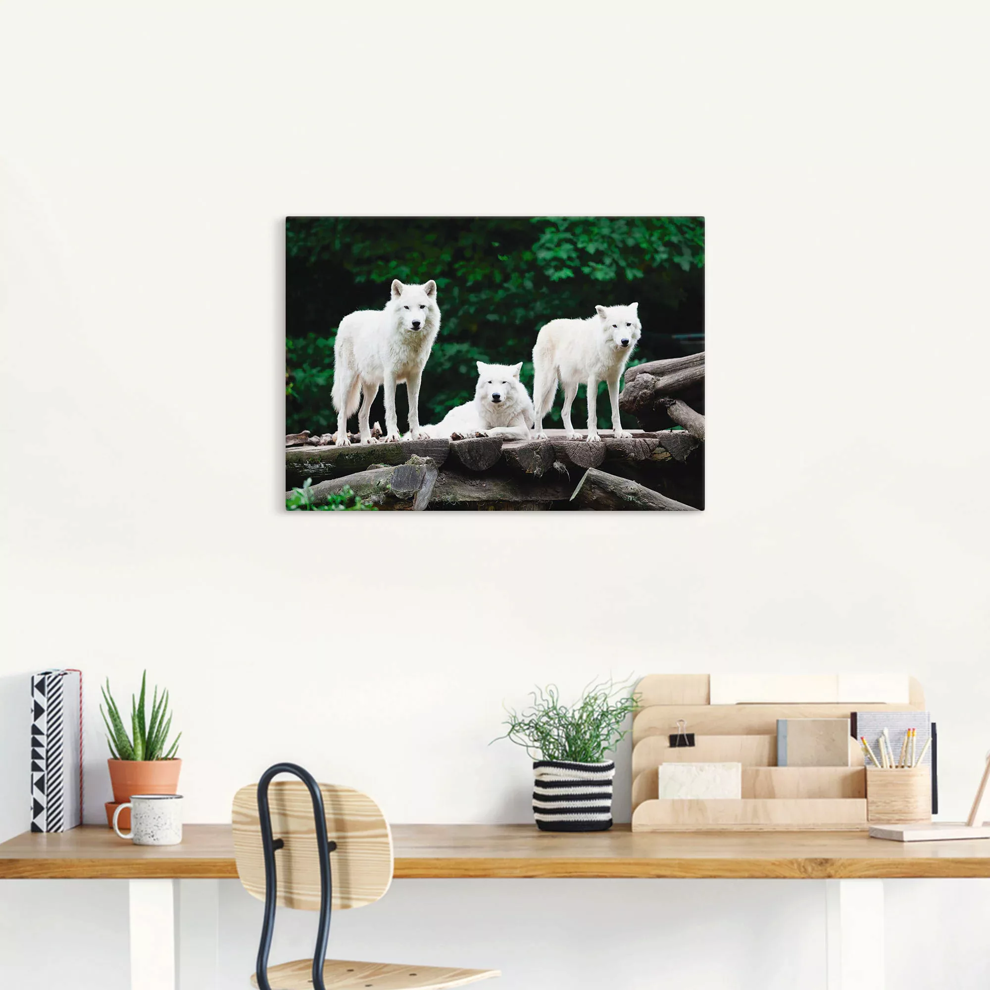 Artland Wandbild "Arktische Wölfe", Wildtiere, (1 St.), als Leinwandbild, P günstig online kaufen