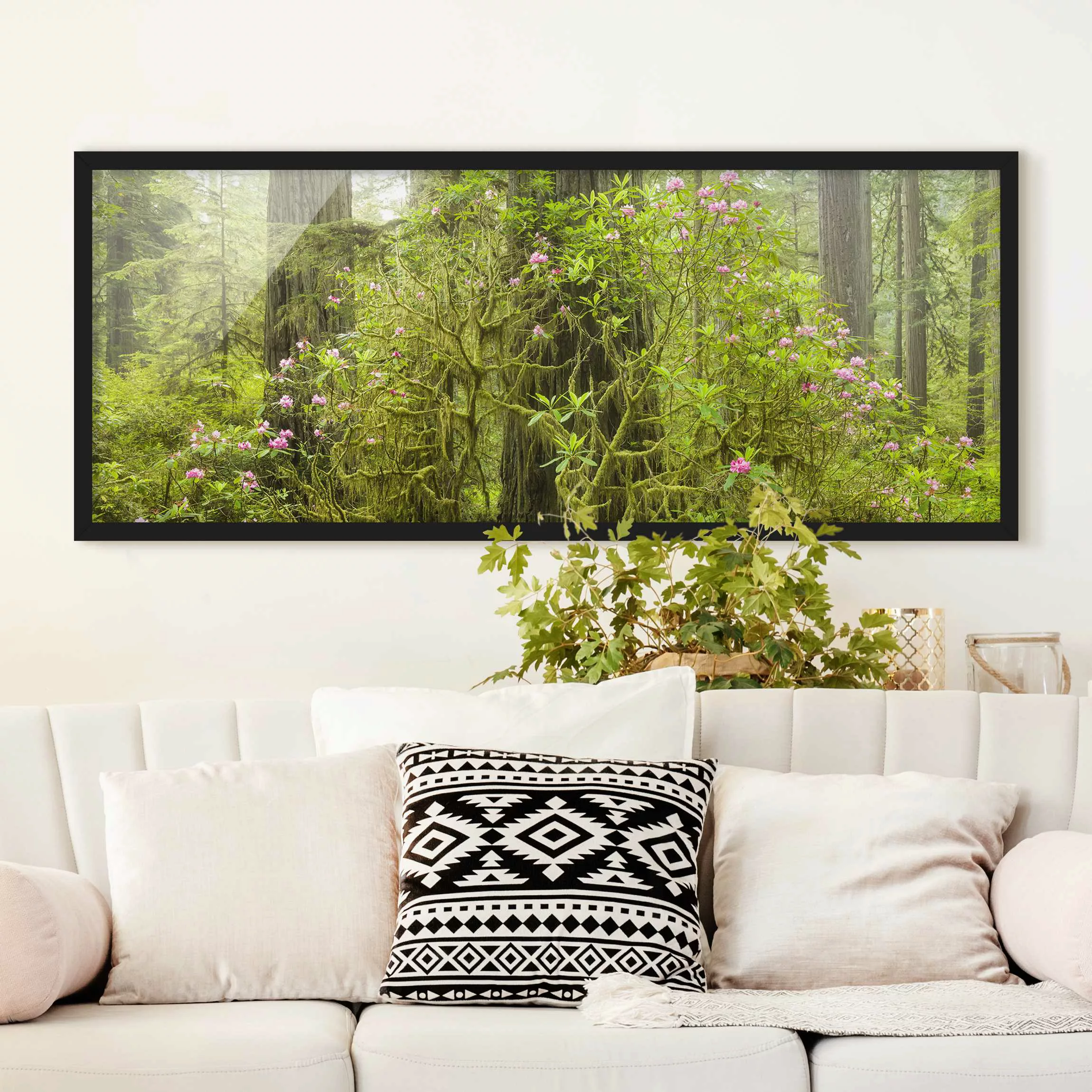 Bild mit Rahmen Natur & Landschaft - Panorama Del Norte Coast Redwoods Stat günstig online kaufen