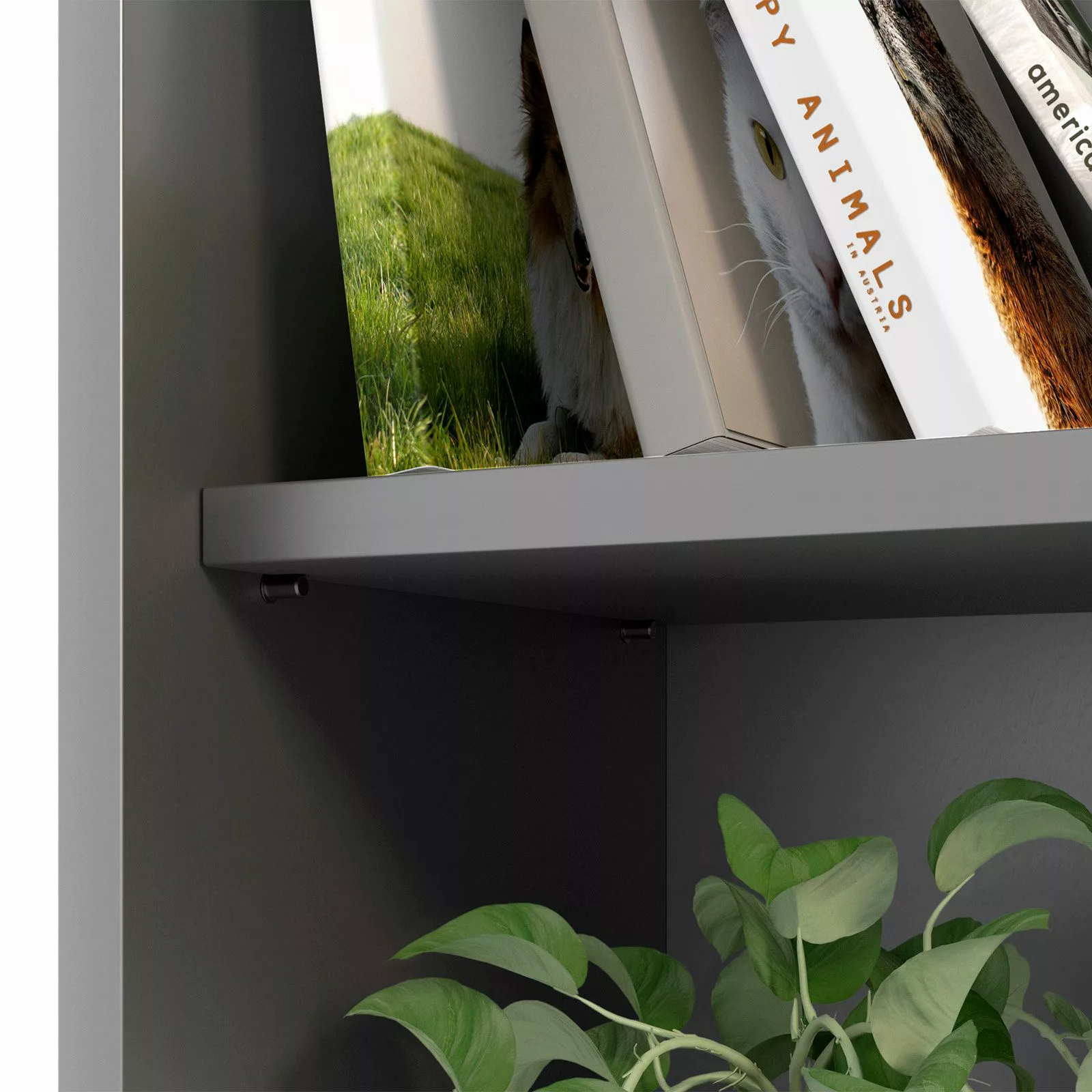 SO-TECH® Möbelbeschlag Fach-Bodenträger Regalstifte Stiftdurchmesser 3 günstig online kaufen