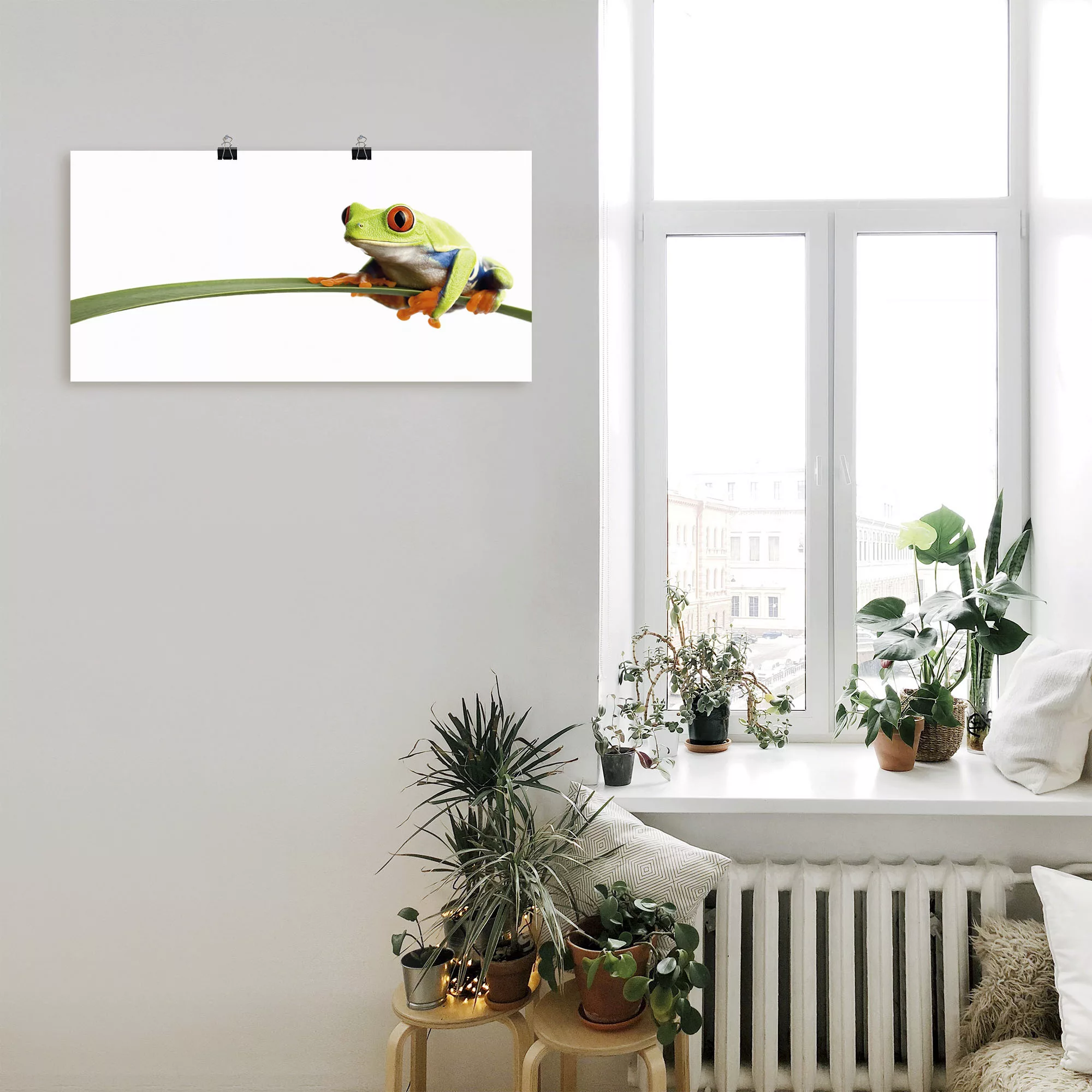 Artland Wandbild "Frosch auf einem Blatt", Wassertiere, (1 St.), als Alubil günstig online kaufen