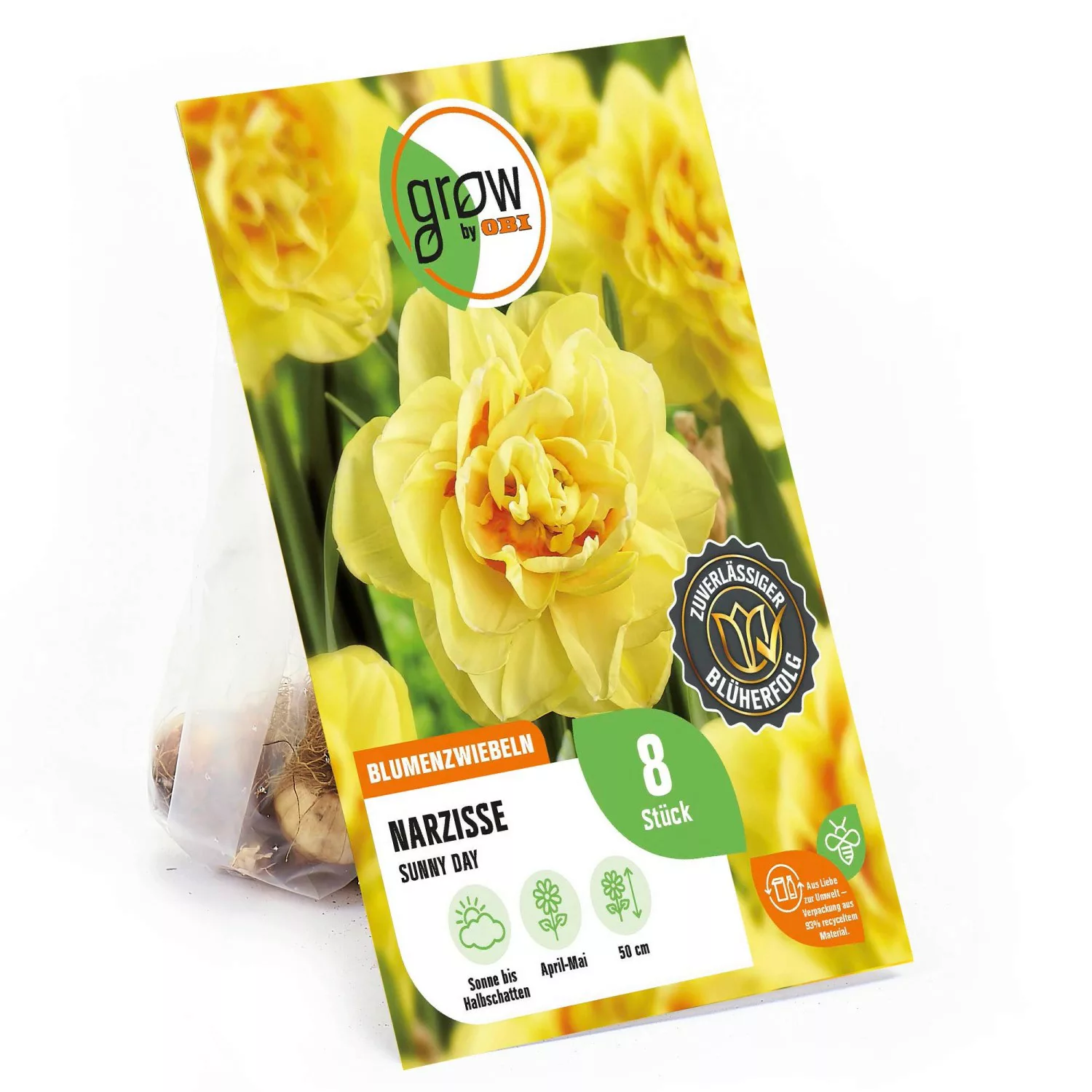 GROW by OBI Narzisse Sunny Day Gelb 8 Stück Narcissus günstig online kaufen