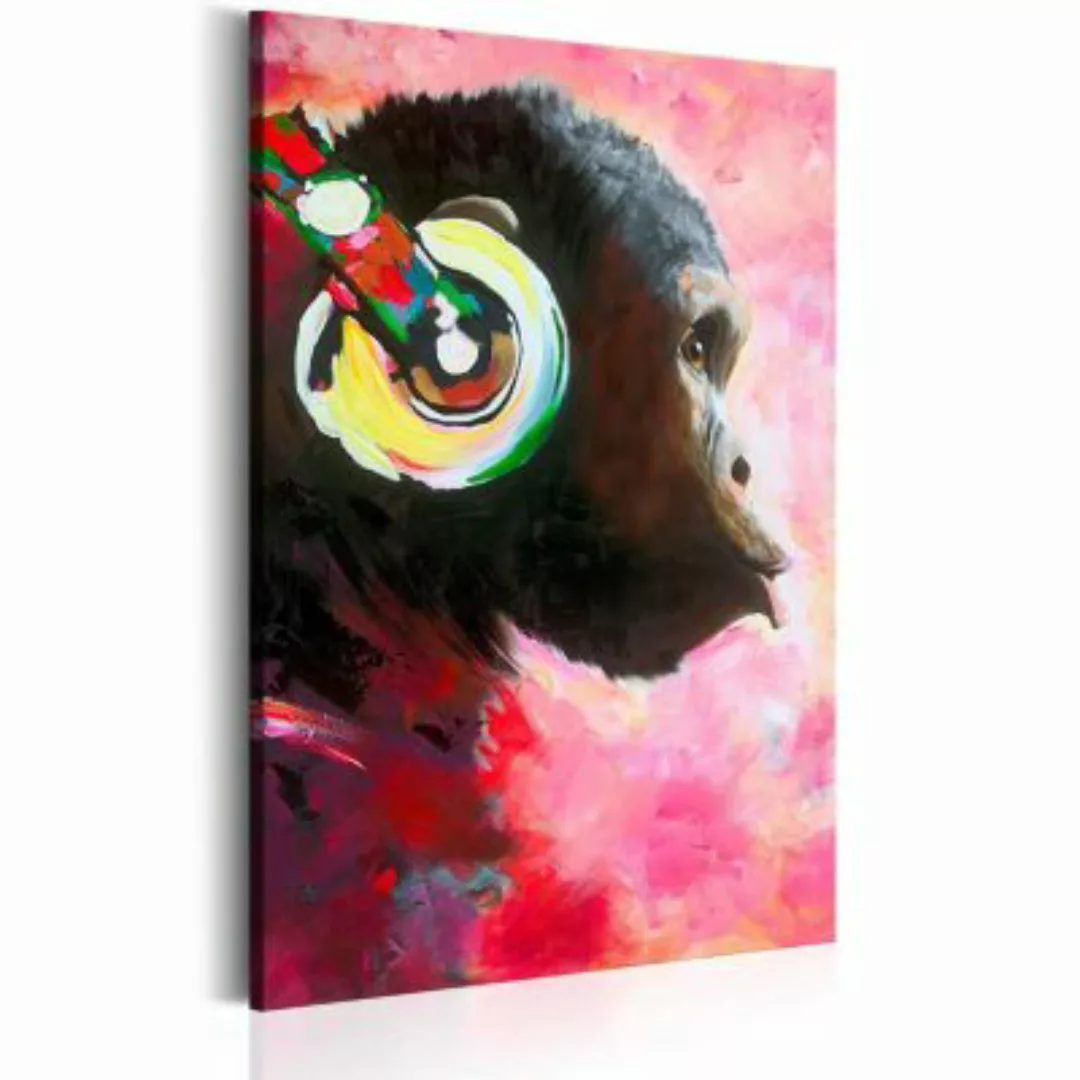 artgeist Wandbild Monkey Music mehrfarbig Gr. 40 x 60 günstig online kaufen