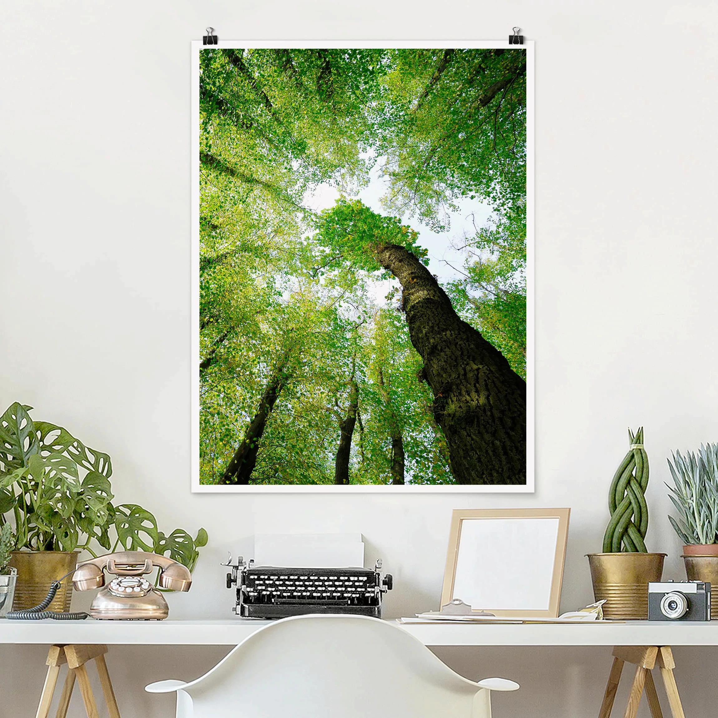 Poster Wald - Hochformat Bäume des Lebens günstig online kaufen