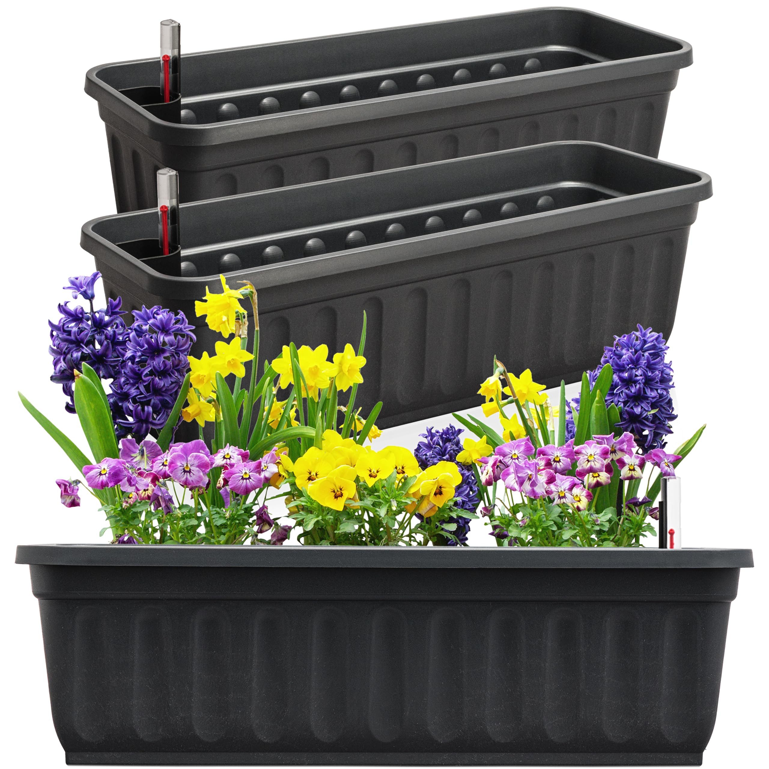 Hausfelder Blumenkasten Balkonkasten mit Wasserstandsanzeiger, Pflanzkasten günstig online kaufen