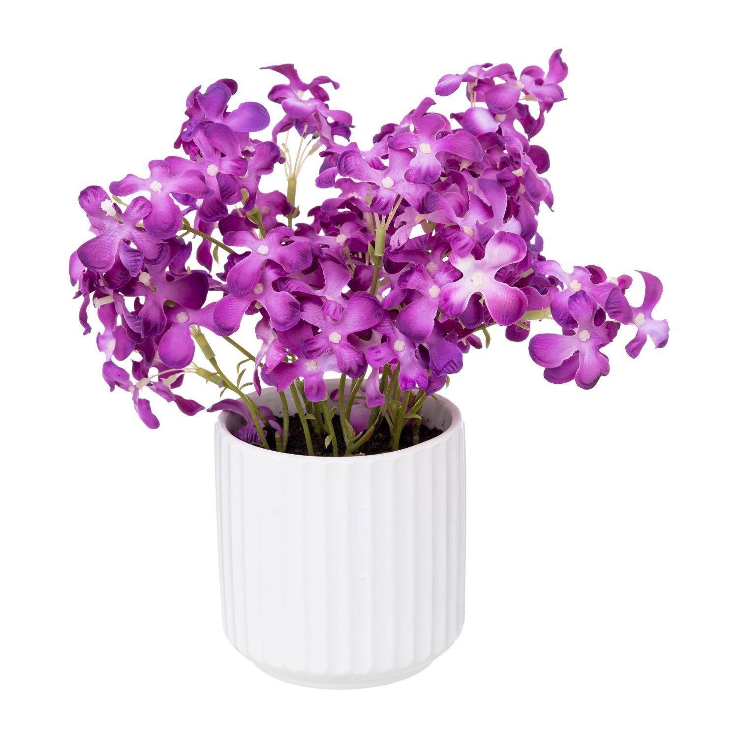 Kunstpflanze Zimmerpflanze, Atmosphera Créateur d'intérieur, Höhe günstig online kaufen
