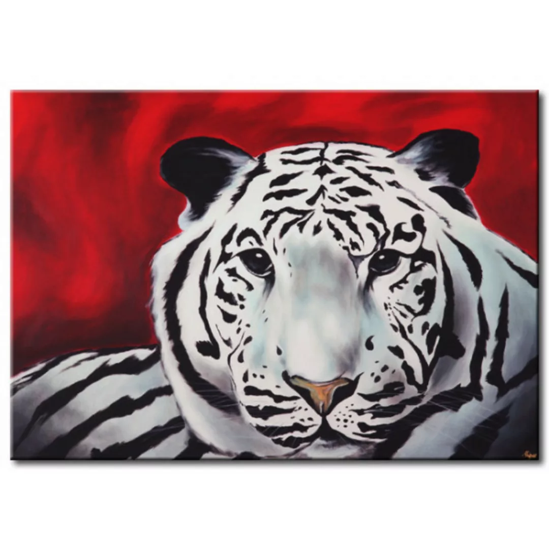 Bild auf Leinwand Weißer Tiger XXL günstig online kaufen