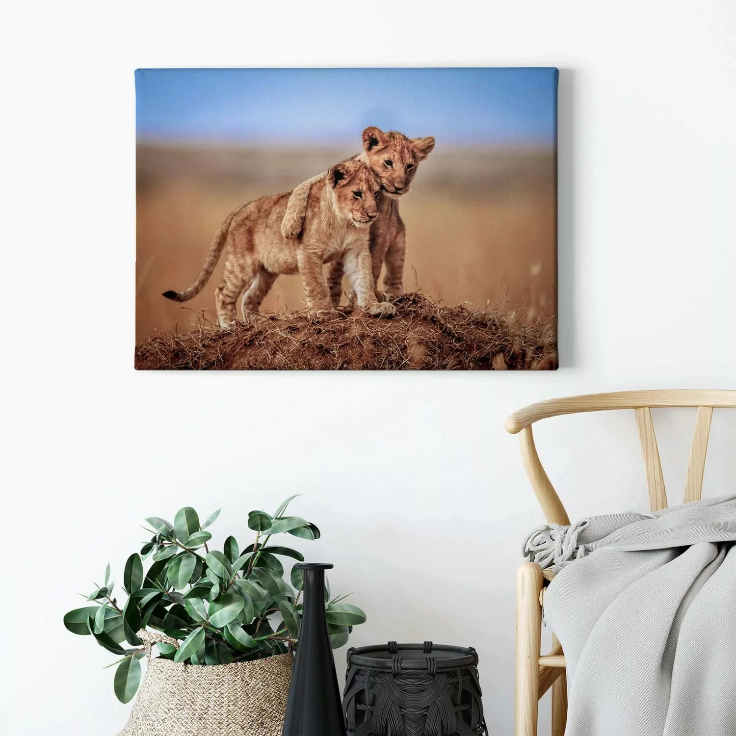Bricoflor Löwen Bild Auf Leinwand Keilrahmen Bild Mit Baby Löwen Ideal Für günstig online kaufen