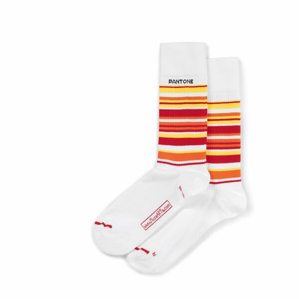 Bunte Socken, Bio Baumwolle günstig online kaufen