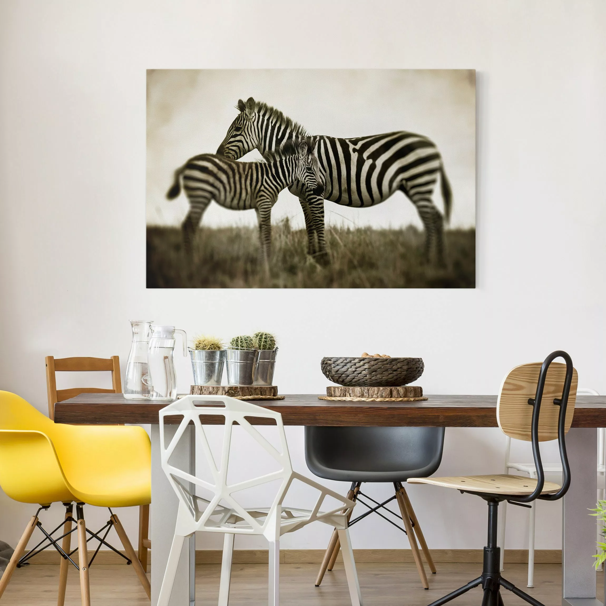 Leinwandbild Tiere - Querformat Zebrapaar günstig online kaufen