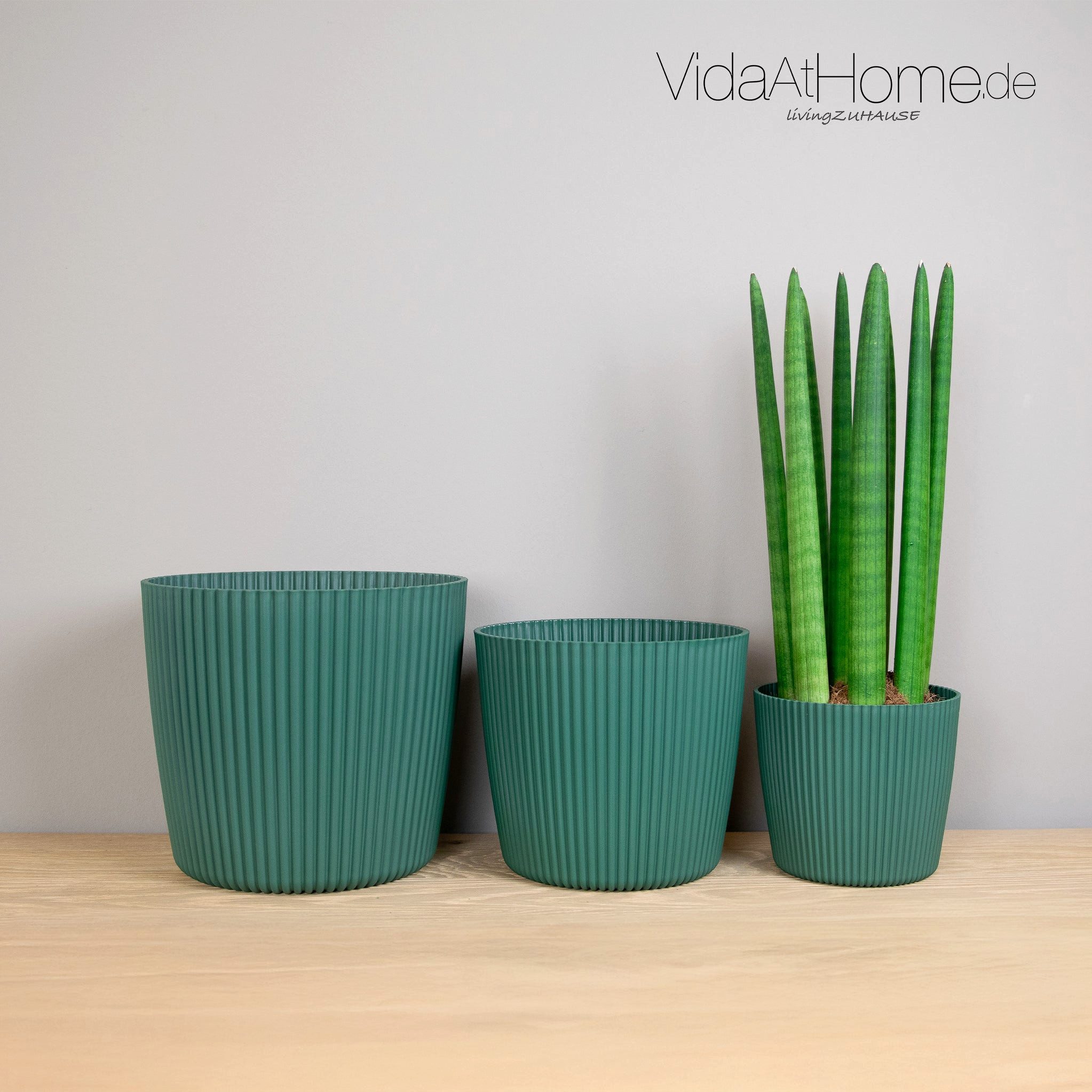 VidaAtHome.de Blumentopf Blumentopf LUCY ø 15er, günstig online kaufen