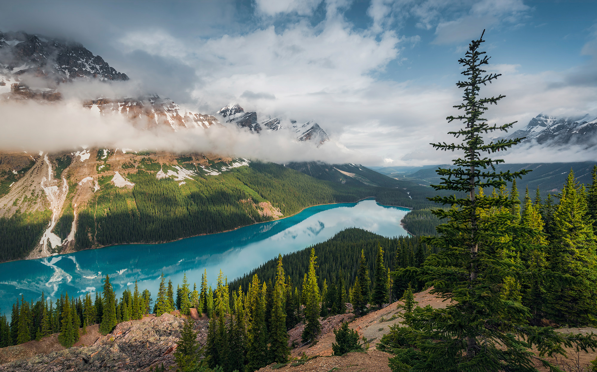 Sanders & Sanders Fototapete Landschaft Grün und Blau 450 x 280 cm 612680 günstig online kaufen