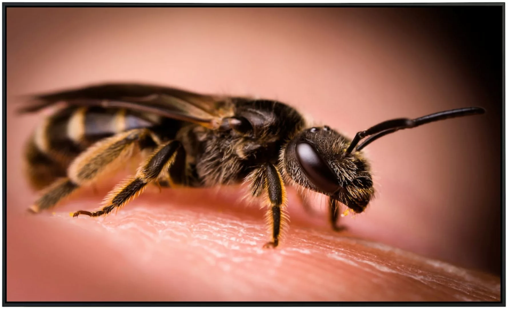Papermoon Infrarotheizung »Biene«, sehr angenehme Strahlungswärme günstig online kaufen