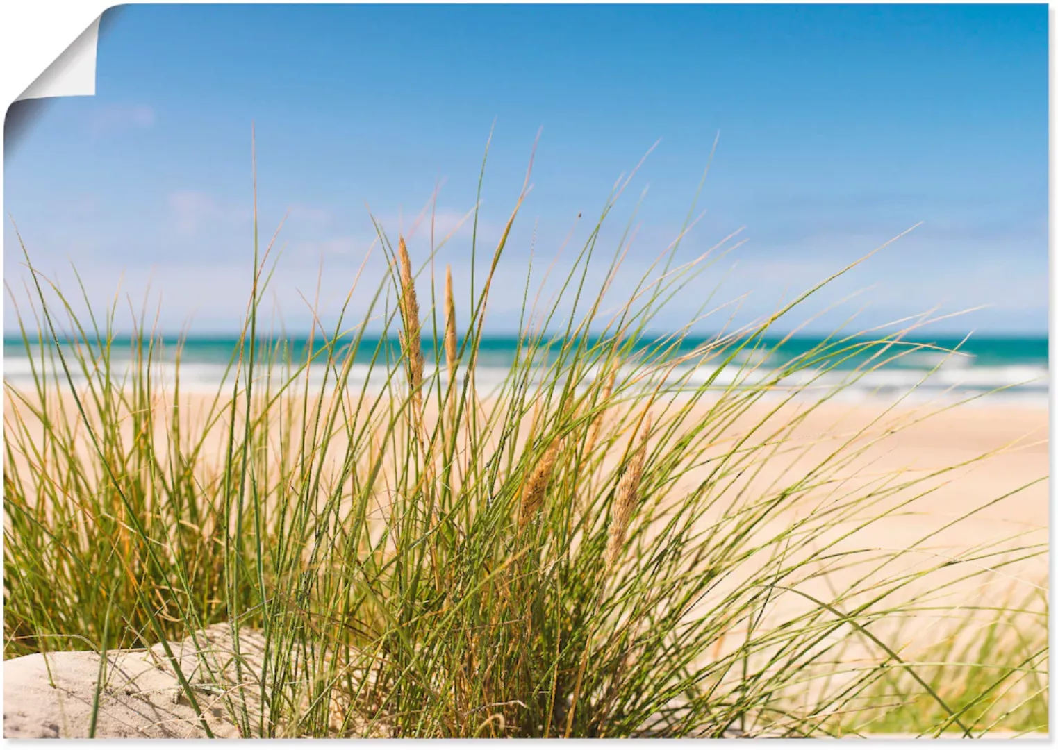 Artland Wandbild »Dünengras«, Strand, (1 St.) günstig online kaufen