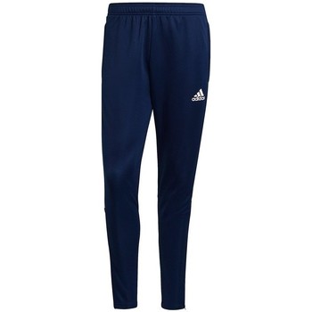 adidas  Hosen Tiro 21 Training günstig online kaufen