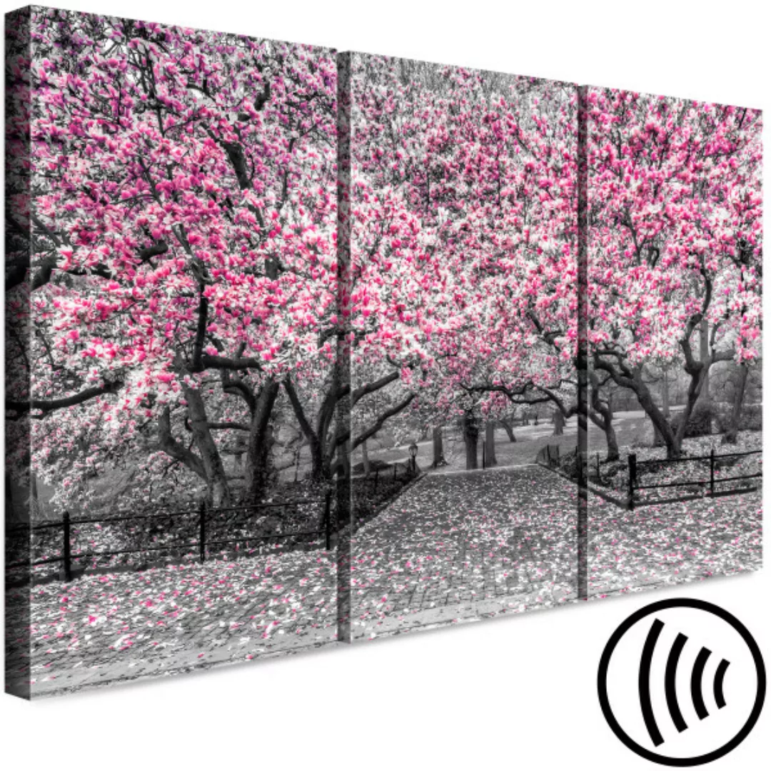 Leinwandbild Blühende Magnolie - Triptychon mit Magnolienbäumen und rosa Bl günstig online kaufen