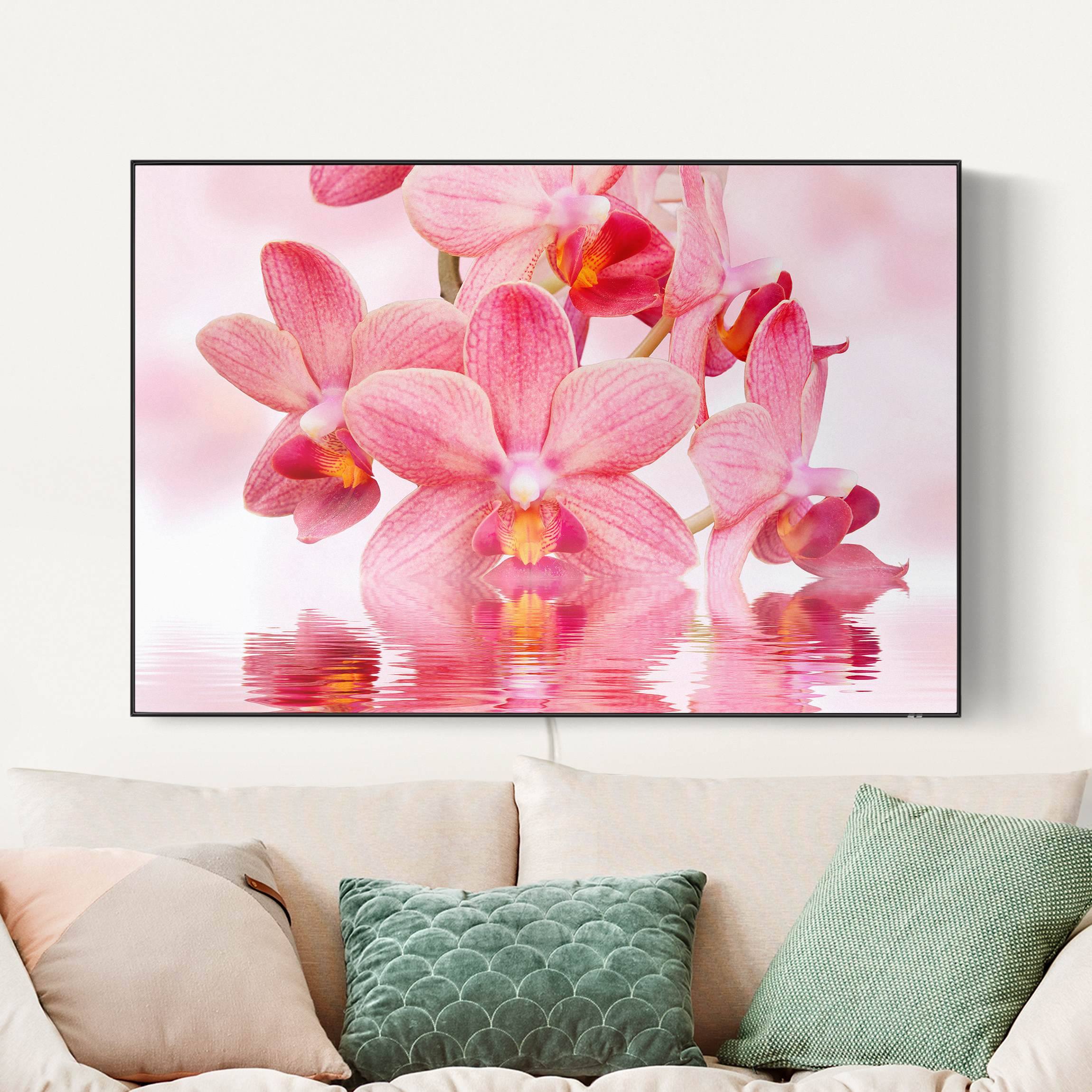 LED-Wechselbild Rosa Orchideen auf Wasser günstig online kaufen