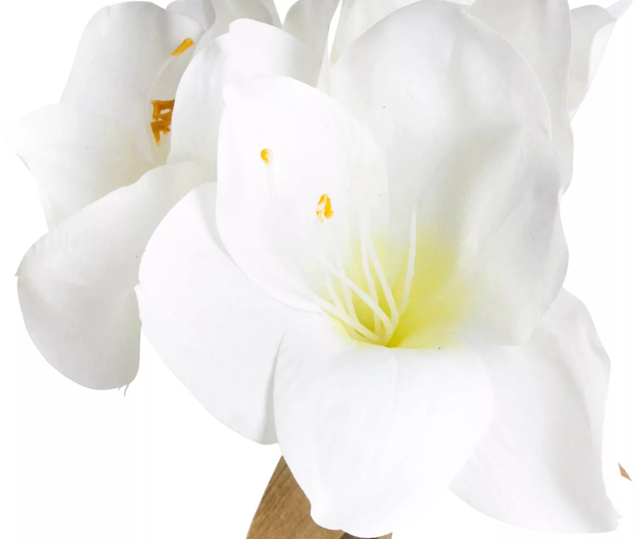 Botanic-Haus Kunstblume "Amaryllis" günstig online kaufen