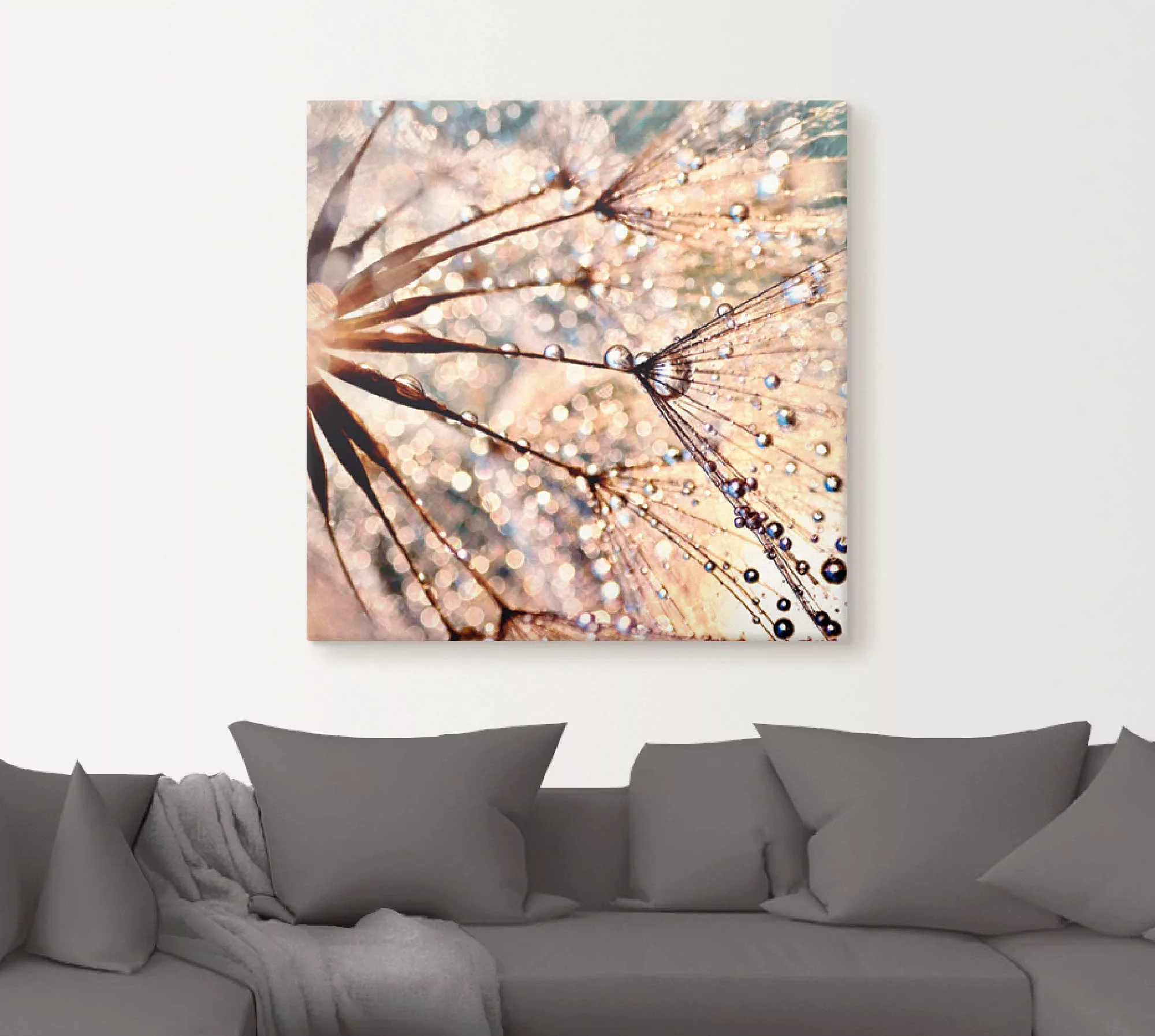 Artland Wandbild "Pusteblume - Kisses from rain", Blumen, (1 St.) günstig online kaufen