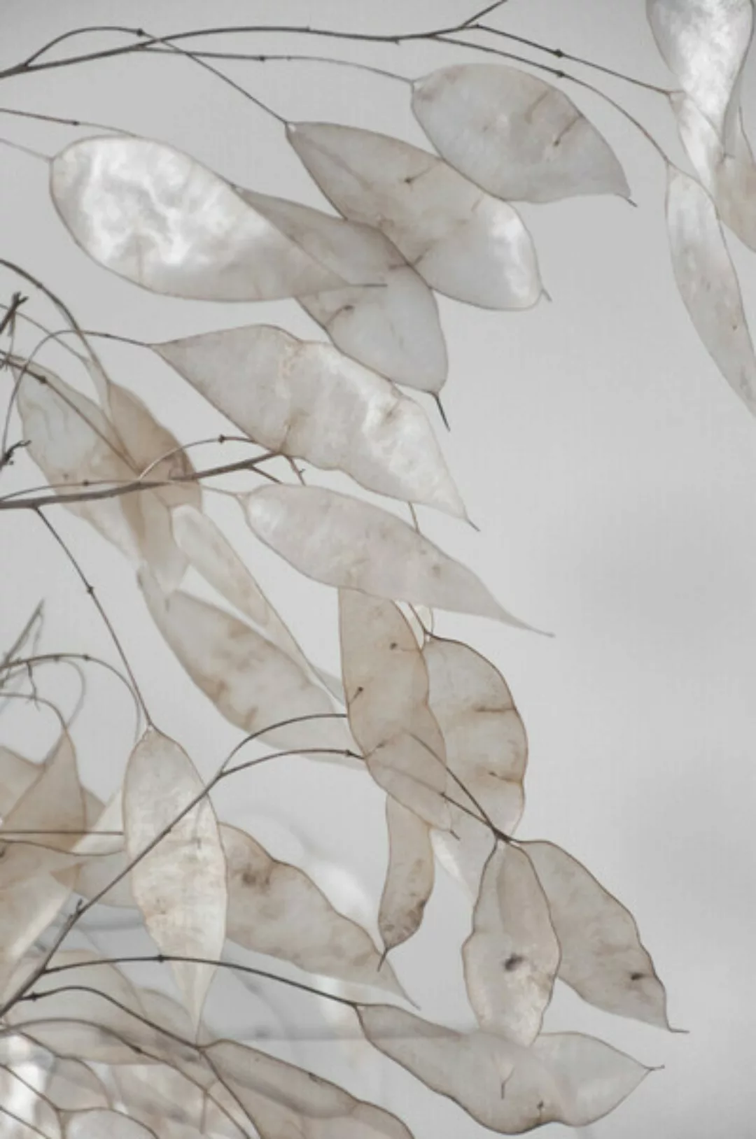 Poster / Leinwandbild - Abstract Branches Collected In The Forest günstig online kaufen