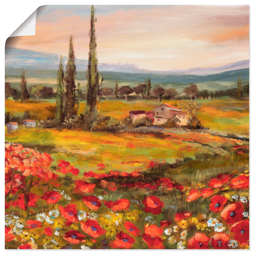 Artland Wandbild "Mohnblumen und Zypressen", Felder, (1 St.), als Leinwandb günstig online kaufen