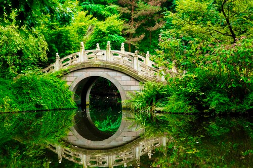 Papermoon Fototapete »Japanese Garden« günstig online kaufen